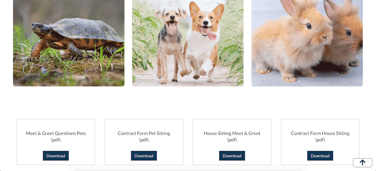 Portfolio Pet care service website part 4