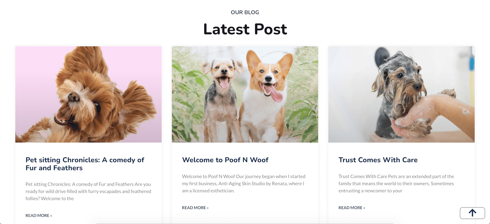 Portfolio Pet care service website part 6