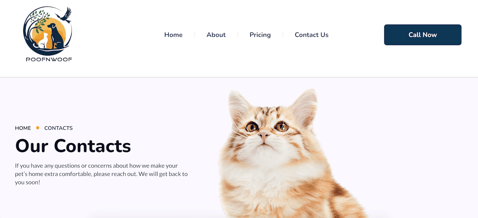 Portfolio Pet care service website part 8
